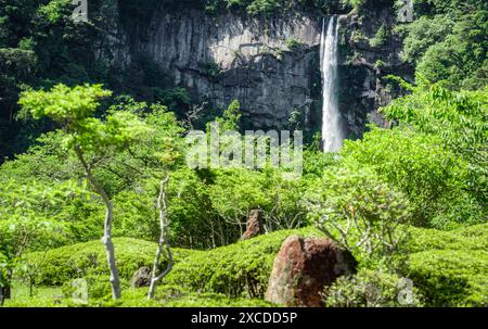 View with Nachi Waterfall located in Nachikatsuura, Wakayama, Japan Stock Photo