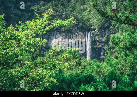 View with Nachi Waterfall located in Nachikatsuura, Wakayama, Japan Stock Photo