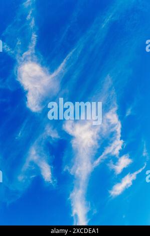 Unusual clouds against clear blue sky; Joshua Tree National Park; California; USA Stock Photo