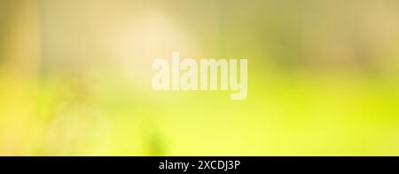 Blurred natural green spring and summer bokeh background. Stock Photo
