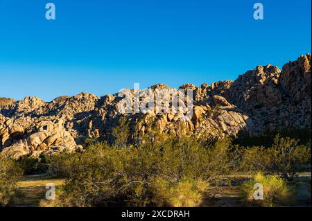 Unusual rock formations; Indian Cove Campground; Joshua Tree National Park; southern California; USA Stock Photo