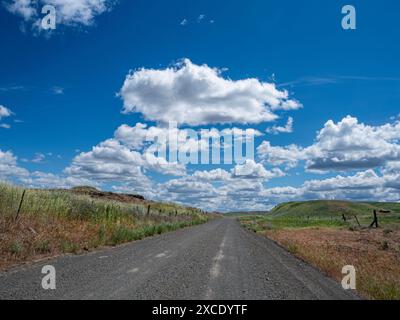 WA254323-00...WASHINGTON - Country road east of Rock Creek and Breeden Falls. Stock Photo