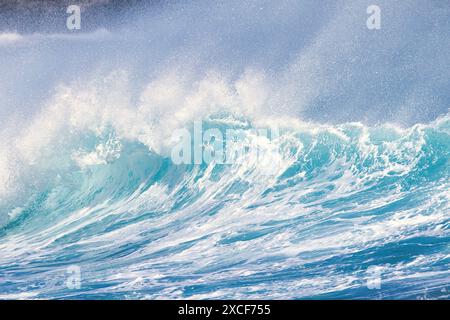 Powerful breaking wave on Maui. Stock Photo