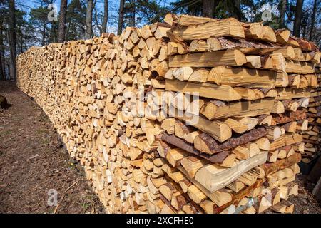 Long stack of neatly stacked firewood in Ruissalo district of Turku, Finland Stock Photo