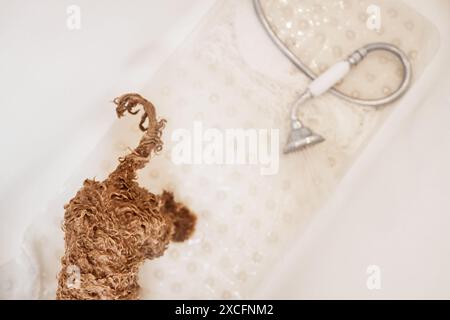 Top view of bathtub with little puppy tail enjoying washing copy space Stock Photo