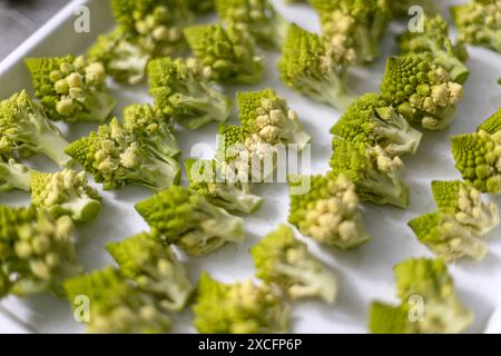 Close-up of cut romanesco broccoli florets arranged in row on a white baking tray Stock Photo