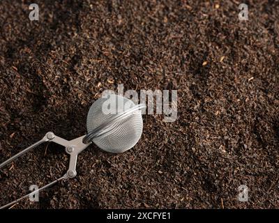 Metal tea infuser is lying on dry black tea leaves, ready to be used for a perfect cup of tea Stock Photo