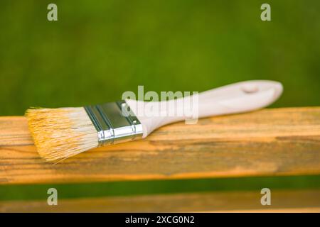 Paintbrush resting on a wooden bench with a blurry green grass background. The paintbrush has a wooden handle and a brush made of natural bristles. Stock Photo