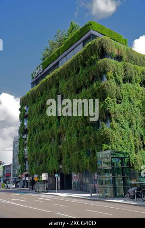 Facade greening, thermal insulation, greening, modern architecture, metropolis, urban, architecture, windows, building, glass facade, building Stock Photo