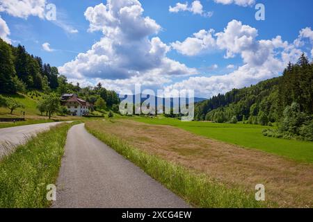 Cycle path, country road and blue sky with cumulus clouds in slight backlight in a landscape near Biederbach, Black Forest, Emmendingen district Stock Photo