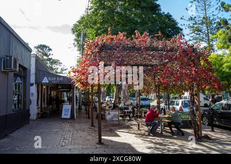 Bellingen town centre australian town on the mid north coast , autumn ...