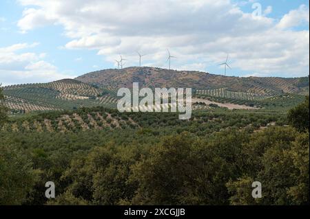 Beautiful view of an expansive olive grove set against rolling hills topped with wind turbines under a cloudy sky. A serene representation of sustaina Stock Photo