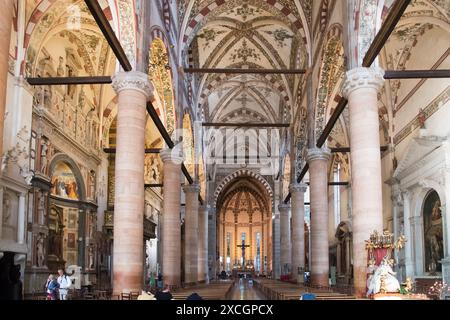 Main nave of Gothic Basilica di Santa Anastasia (Basilica of Saint Anastasia) bulit XIII to XV century in historic centre of Verona, Province of Veron Stock Photo