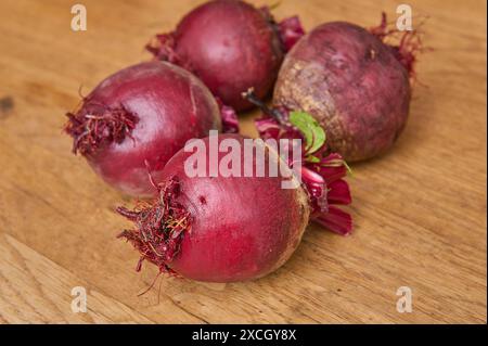 Natur Rote Beete Frisch geerntete Rote Beete aus dem Gemueseanbau im eigenen Garten. 16.6.2024 *** Natural beet Freshly harvested beet from vegetables grown in your own garden 16 6 2024 Stock Photo