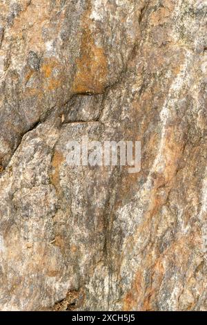 Texture of big stone boulder with irregular structure. Colors of brown, white and gray. Background use. Stock Photo
