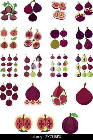 Options for figs: whole and half, and in different shades Stock Vector