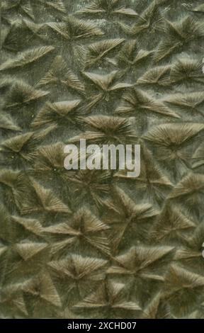 Glass background with floral elements in high relief Stock Photo
