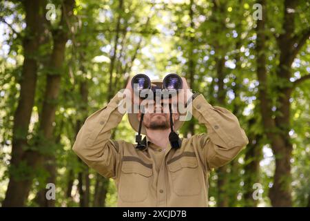 Forester with binoculars examining plants in forest Stock Photo