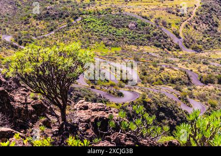 Winding Paths through the Majestic Tejeda Mountains, Gran Canaria Stock Photo