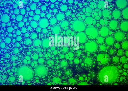 Abstract background with colorful bubbles. Stock Photo
