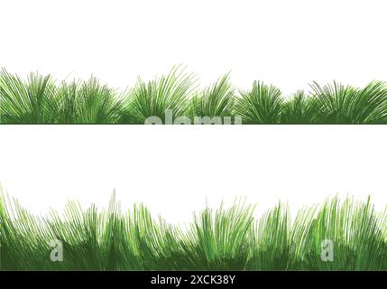 Beautiful green grass Isolated background Stock Vector