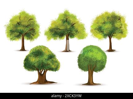 Set of various watercolor trees on white background Stock Vector