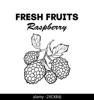 Drawn raspberry icon. Old ink style vector fruit sign for brochures, banners, restaurant and market menus Stock Vector