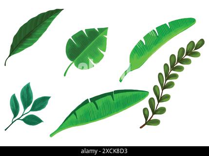 Different type exotic leaves set. Beautiful 3d Jungle tropical plants ...