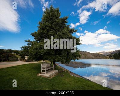 A wooden bench sitting in green grass under big green tree next to lake with mountain reflections in Cromwell Central Otago South Island New Zealand Stock Photo