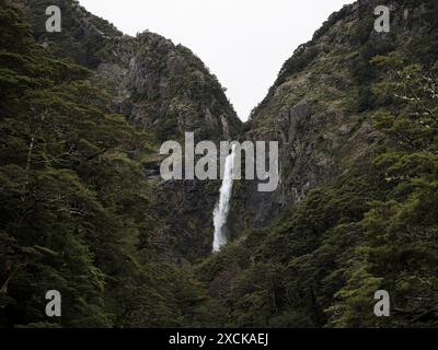 Devil's Punchbowl Falls roaring waterfall in lush green beech forest vegetation at Arthur's Pass Canterbury Southern Alps South Island New Zealand Stock Photo