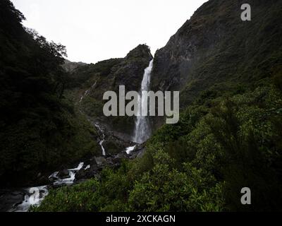 Devil's Punchbowl Falls roaring waterfall in lush green beech forest vegetation at Arthur's Pass Canterbury Southern Alps South Island New Zealand Stock Photo