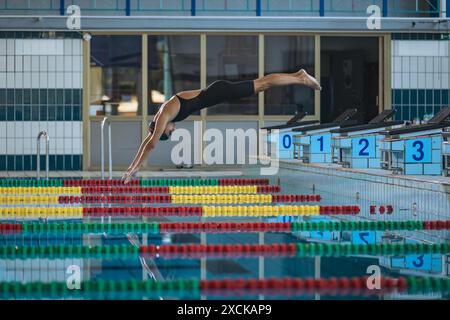 Professional female swimmer preparing and jumping off the starting block into the pool. Competitive swimmers workout concept. Stock Photo