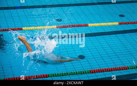 Professional female swimmer preparing and jumping off the starting block into the pool. Competitive swimmers workout concept. Stock Photo