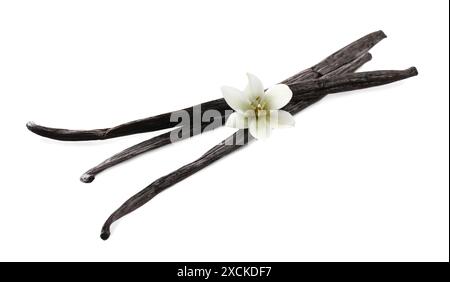 Vanilla pods and flower isolated on white Stock Photo