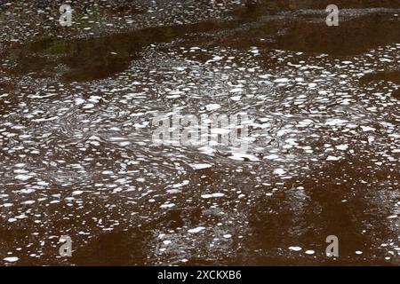 Foaming Bubbles on the Surface of a River Stock Photo