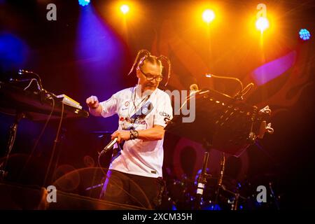 Mr. Bungle in concerto al Circolo Magnolia di Milano. Foto di Davide Merli Stock Photo