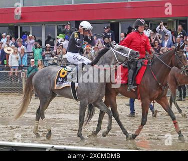 Jack's Picks For 2024 Preakness Stakes Following Muth Scratch