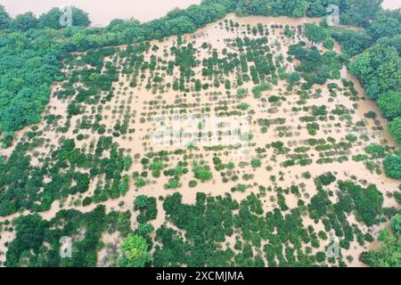 GUILIN, CHINA - JUNE 18, 2024 - Flood waters inundate low-lying areas in Quanzhou county, Guilin city, South China's Guangxi Zhuang Autonomous region, Stock Photo