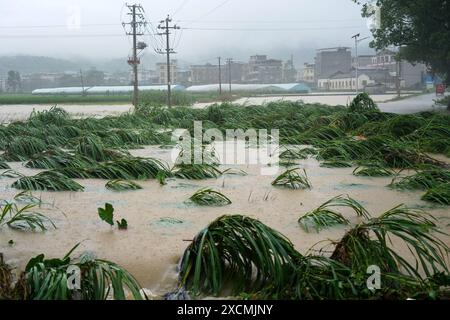 GUILIN, CHINA - JUNE 18, 2024 - Flood waters inundate low-lying areas in Quanzhou county, Guilin city, South China's Guangxi Zhuang Autonomous region, Stock Photo