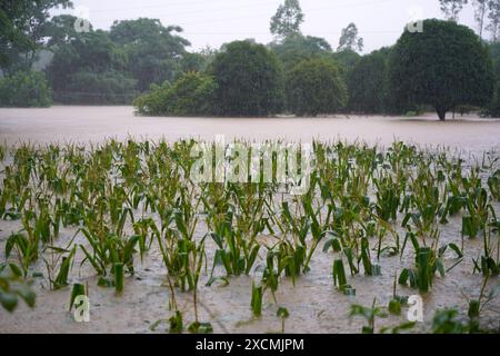 GUILIN, CHINA - JUNE 18, 2024 - Flood waters inundate low-lying areas in Quanzhou county, Guilin city, South China's Guangxi Zhuang Autonomous region, Stock Photo