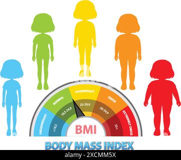 Colorful BMI chart with human silhouettes Stock Vector