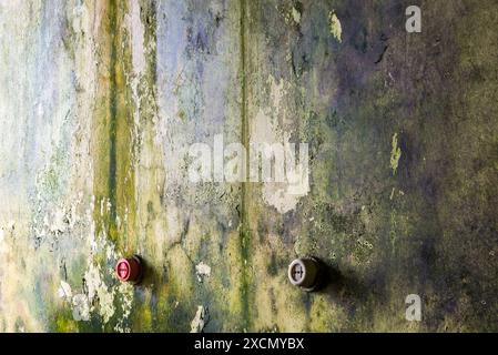 Green Mold On An Old Peeling Abandoned Wall With Two Electrical Sockets Stock Photo