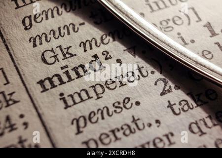 Word mind on dictionary page, macro close-up Stock Photo
