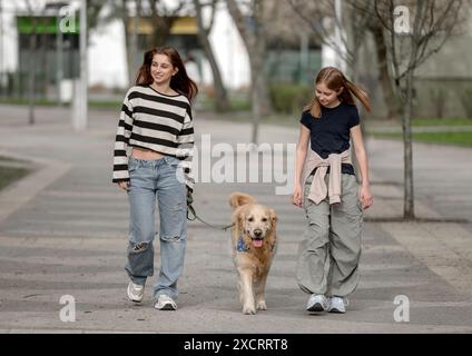 Two Girls Are Walking With A Golden Retriever Dog Along An Alley In Spring Stock Photo