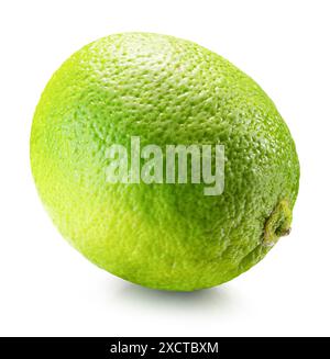 lime isolated on the white background. Clipping path. Stock Photo