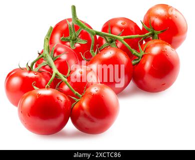 branch of tomatoes isolated on a white background. Clipping path. Stock Photo