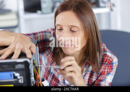 young woman screwing a pc component Stock Photo - Alamy