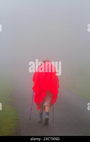 Pilgrim walking over the Pyrenees from St Jean Pied de Port  France in wet and foggy weather on the first stage of the Camino de Santiago Stock Photo