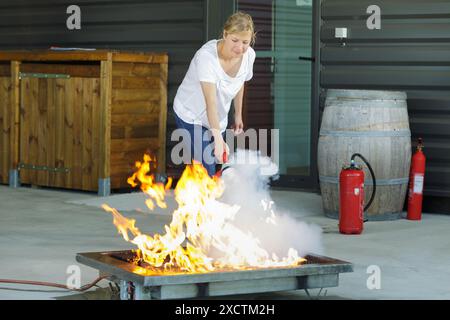 woman using fire extinguisher to stop fire coming from oven Stock Photo