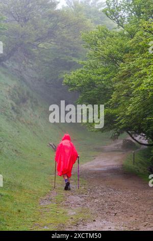 Pilgrim walking over the Pyrenees from St Jean Pied de Port  France in wet and foggy weather on the first stage of the Camino de Santiago Stock Photo